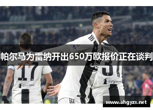 帕尔马为雷纳开出650万欧报价正在谈判